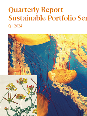 Quarterly Report - Sustainable Portfolio Service 2024