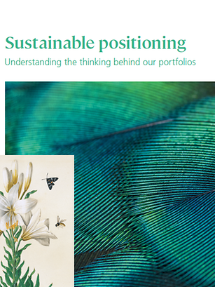 Sustainable positioning cover