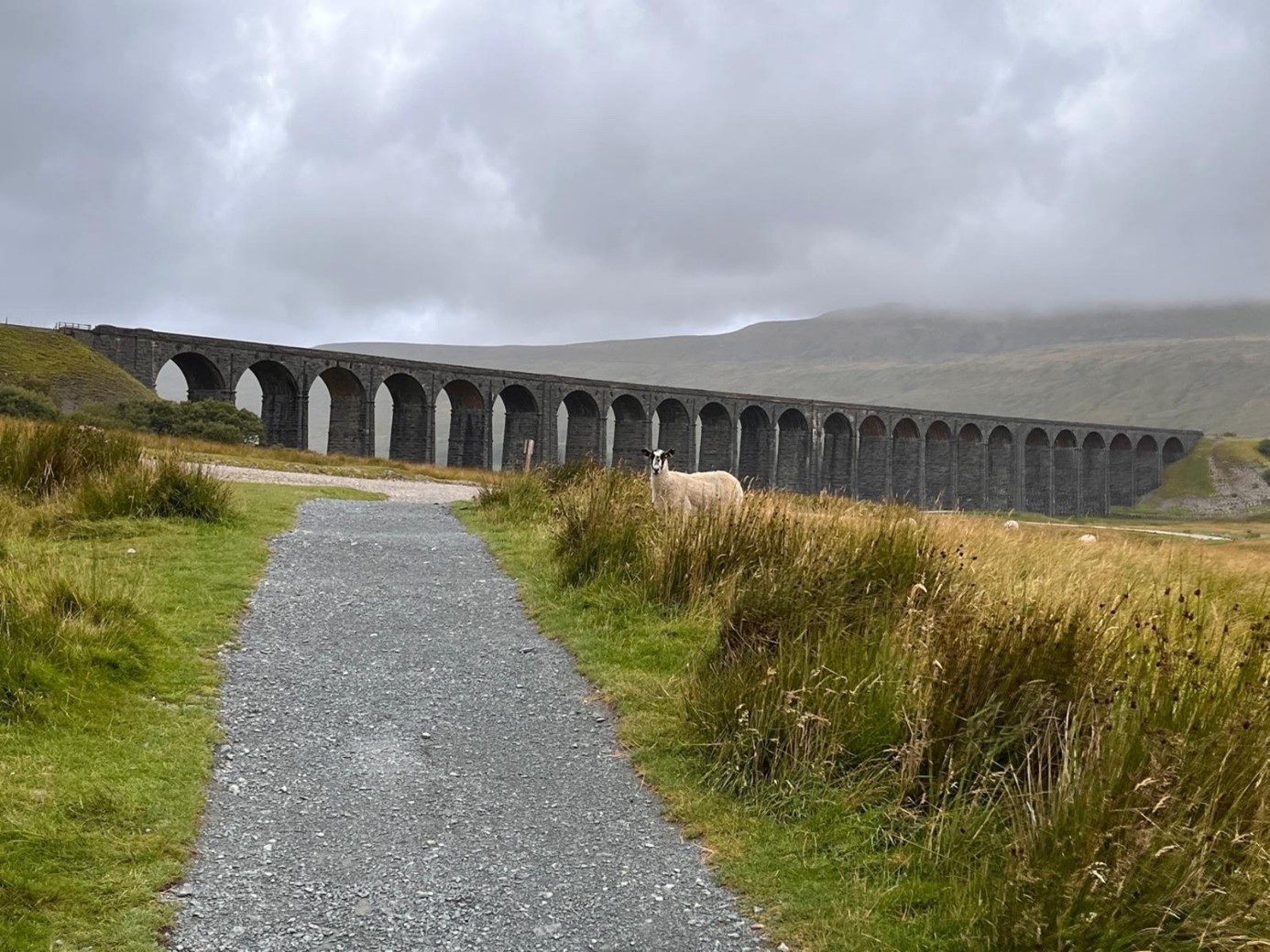 View of a viaduct, Yorkshire Dales