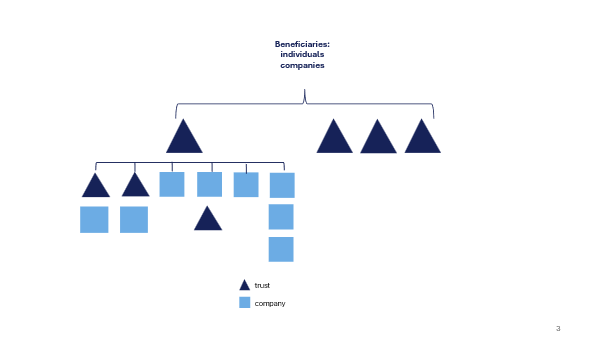 family advisory structure