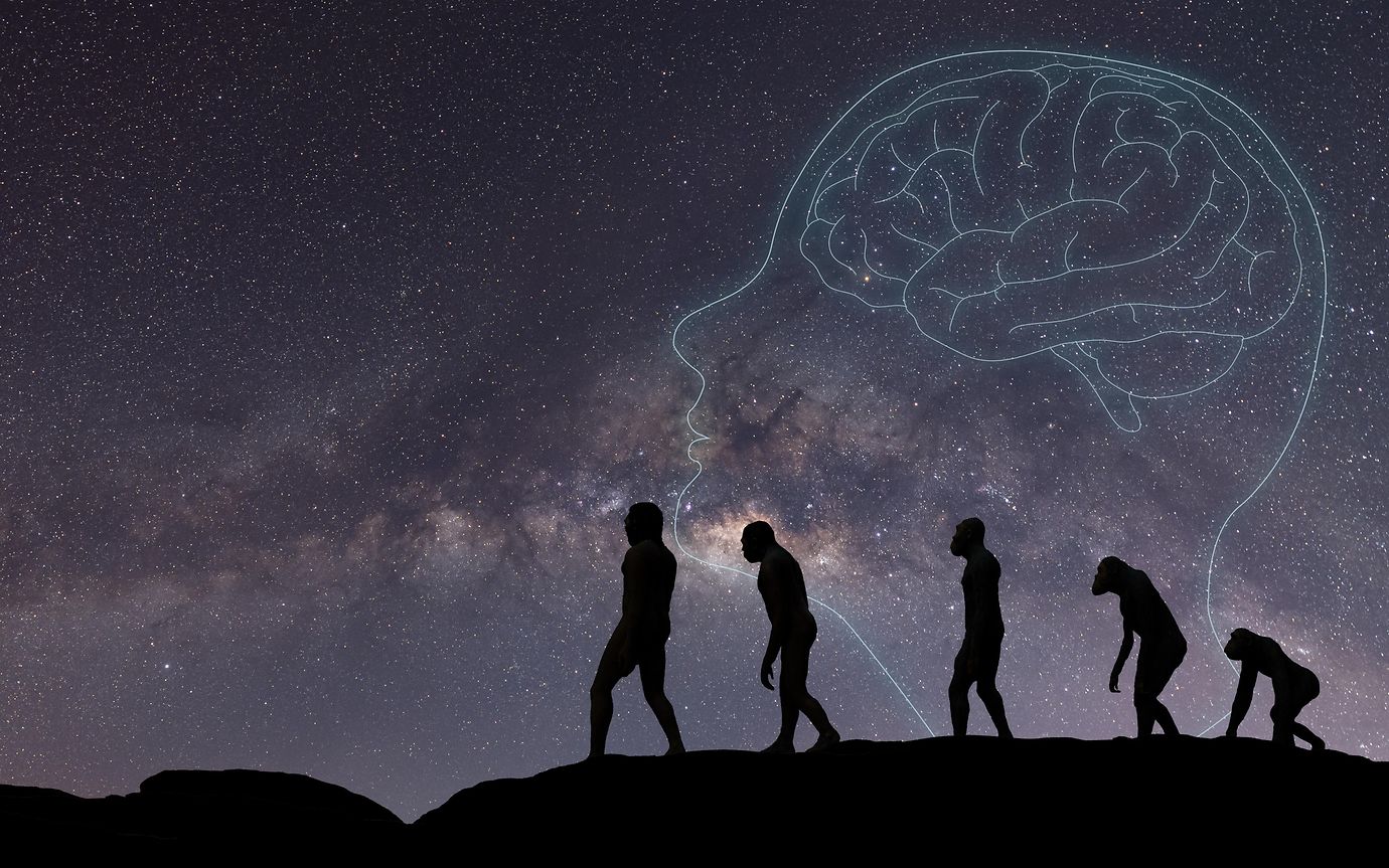 monkey to human evolution with brain icon