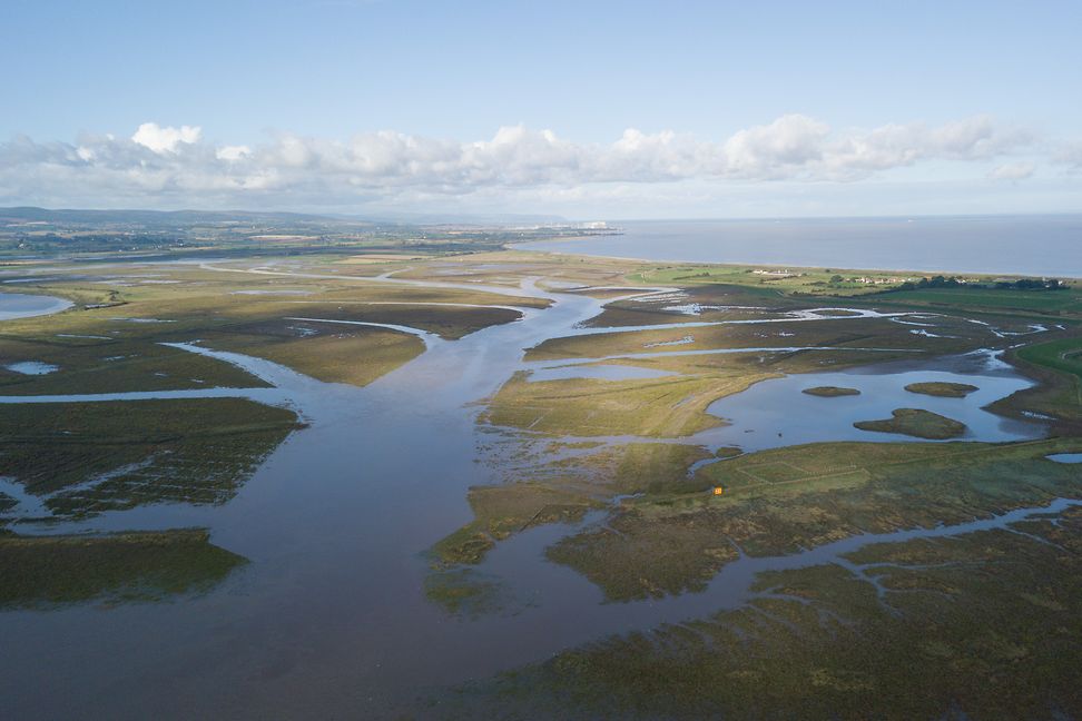 WWT Steart Marshes aerial view