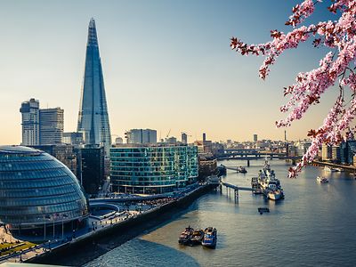 view of shard and blossom trees