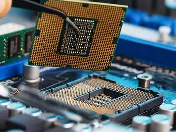 shutterstock_1231154965