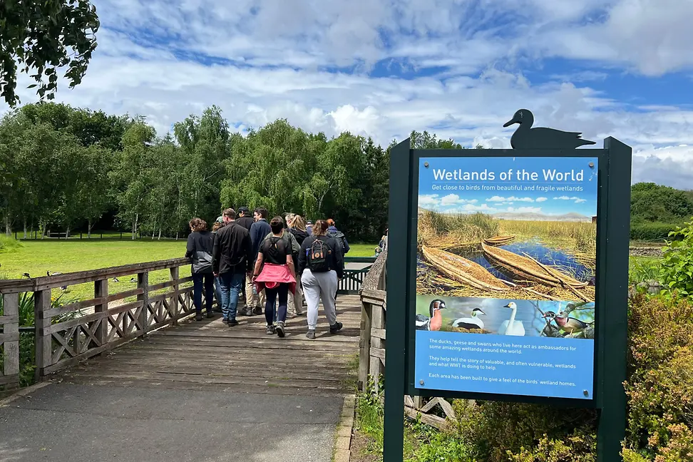 LGT Volunteering 3 (6)