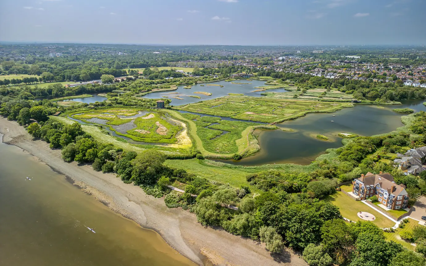 shutterstock_2424209529