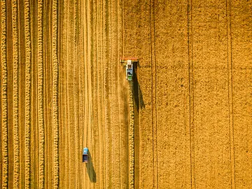Harvester machine working in field