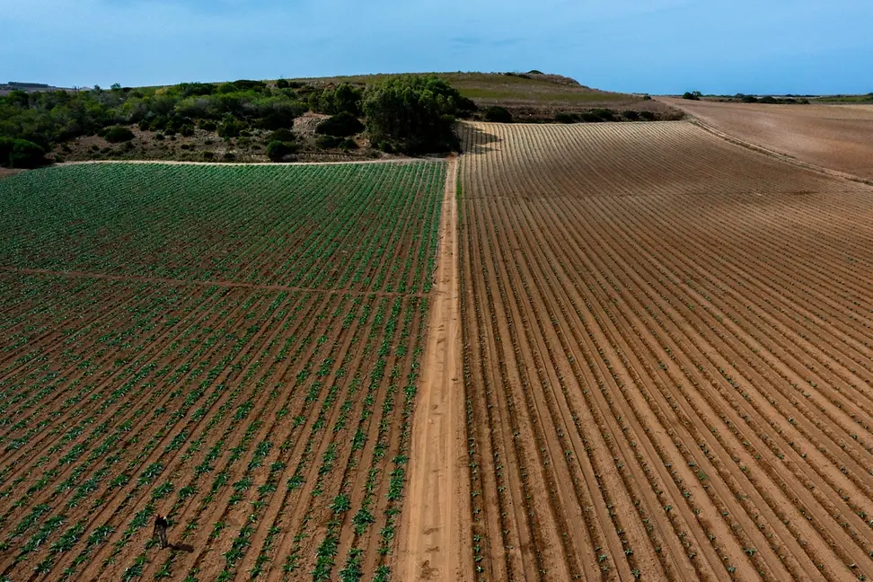 Endowment-Investing-1200-x-900