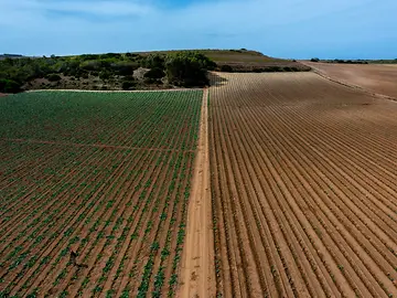 Endowment-Investing-1200-x-900