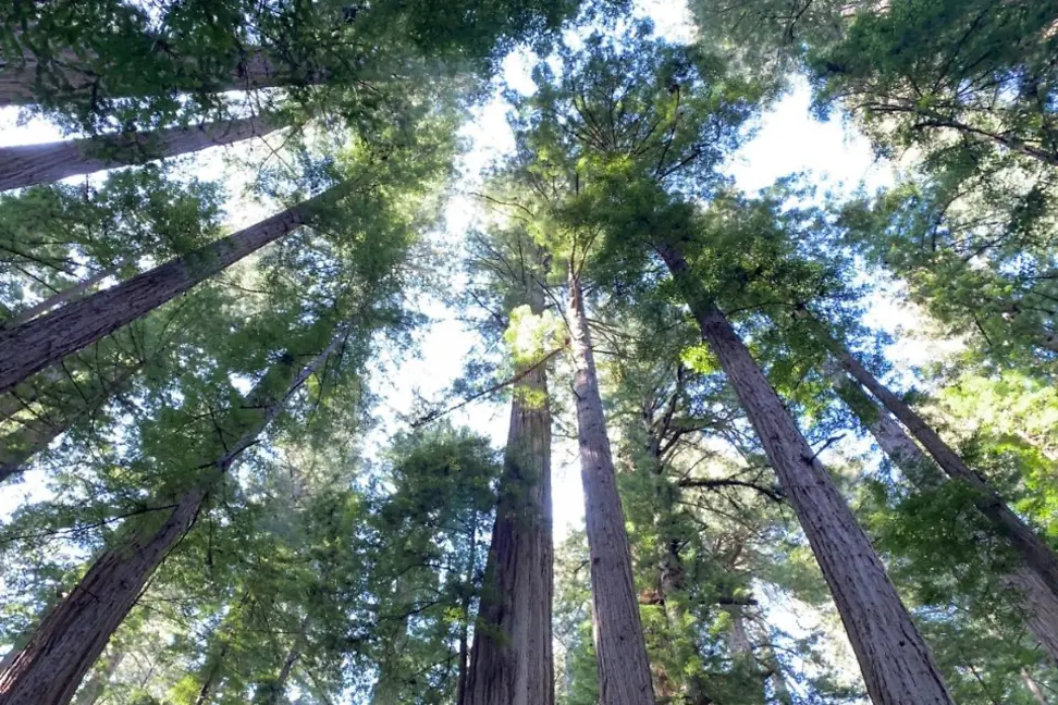 Core-Offerings-May-2024