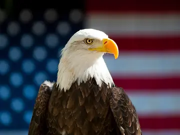 Core-Offerings-April-2025-1200-x-900