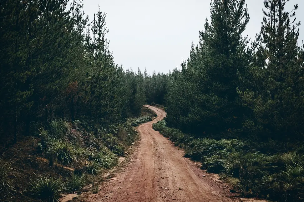 Bumpy-Road-1200-x-900