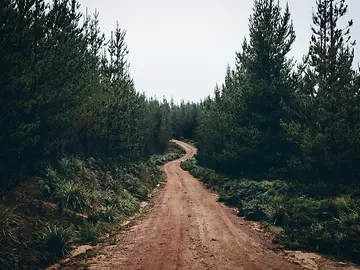 Bumpy-Road-1200-x-900