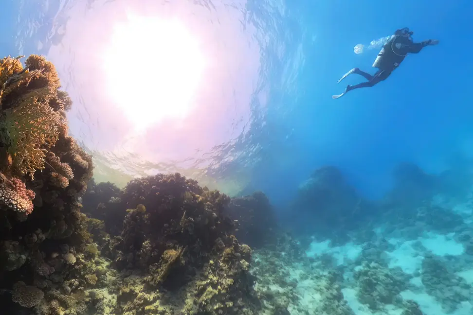 Investment-Forum-1200-x-900