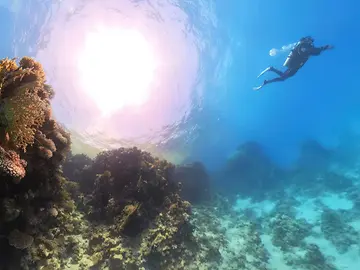 Investment-Forum-1200-x-900