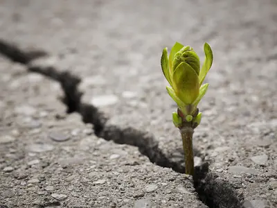 shutterstock_632560004