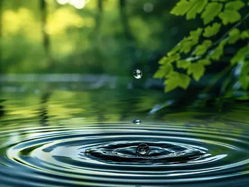 shutterstock_2497965089