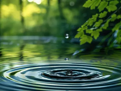 shutterstock_2497965089