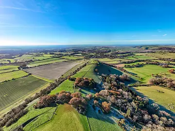 The evolution of private markets green scenery.