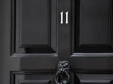 shutterstock_2329563997