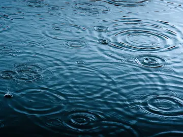 Rain drops on the surface of water