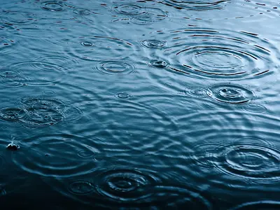 Rain drops on the surface of water