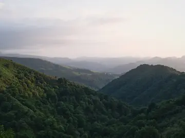 ToddHoareausbizNov25