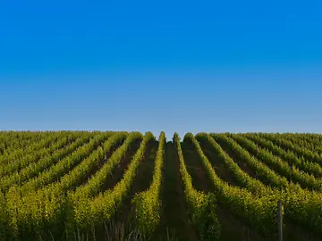 Untitled design (1) (2)