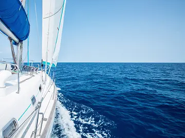 Untitled design (1) (1)