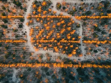 Untitled design (8) (3)