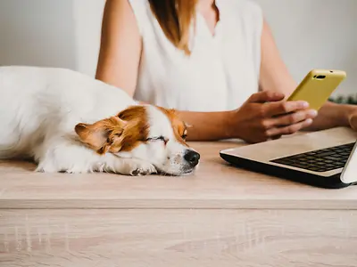 Woman working on laptop with dog