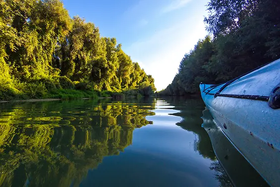 Purchased_iStock-1420531717