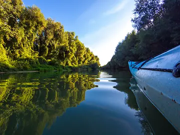 Purchased_iStock-1420531717