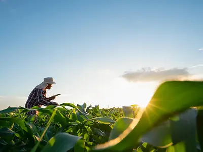 Farmer in field with tablet - regenerative farming.