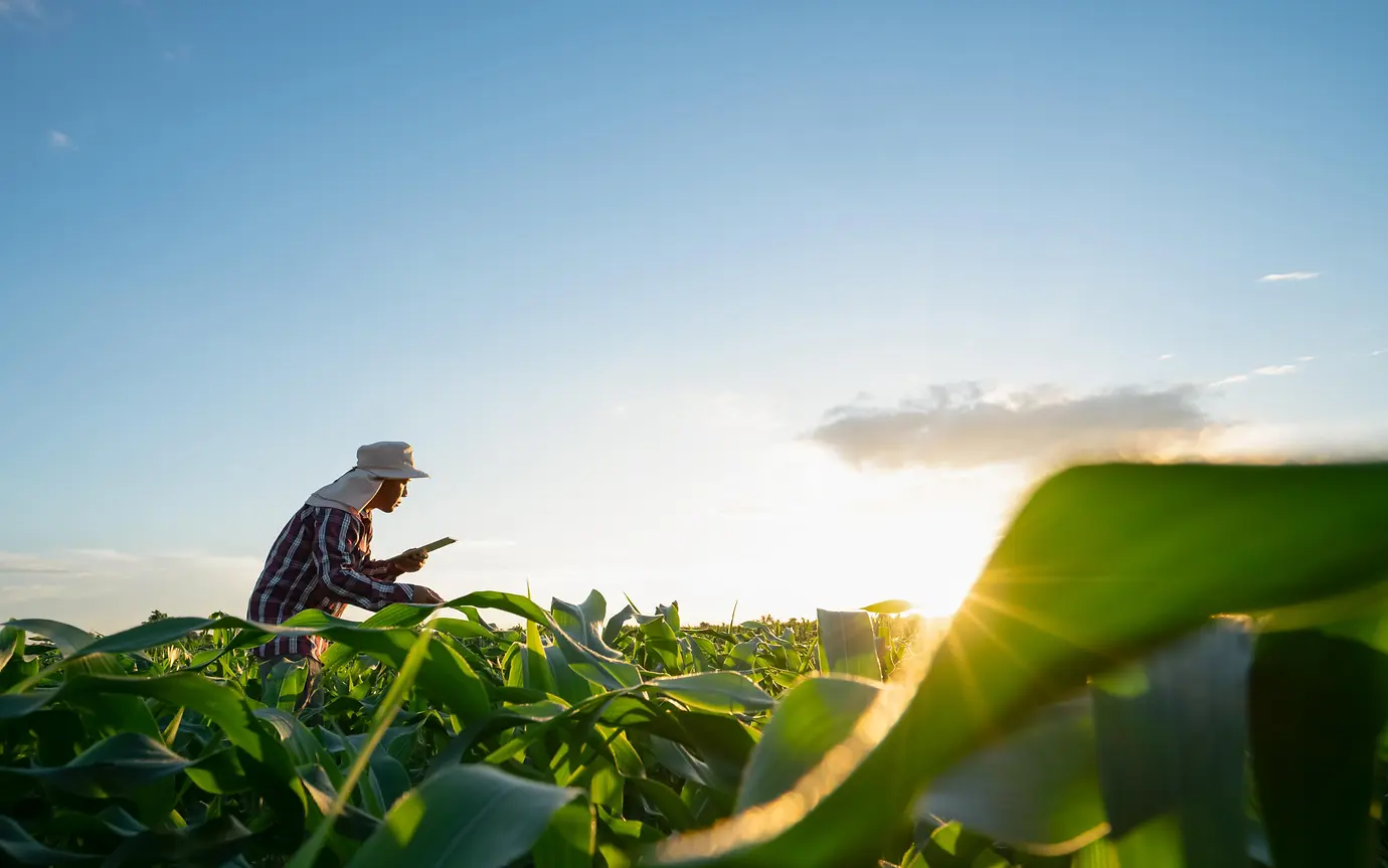 Farmer in field with tablet - regenerative farming.