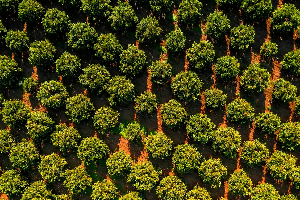 iStock-2254093837