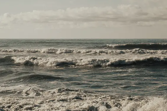 Website images (2)
